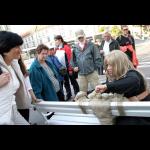 Mara Verna: Whites Waiting