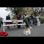 Mara Verna: Whites Waiting