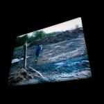 Isild Le Besco, film