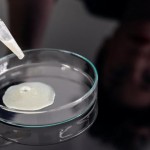 In Posse: Female Sperm and the Festival of Thesmophoria Vol. 1