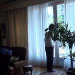 No Home Movie