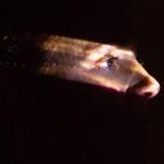 Re_humanization IV