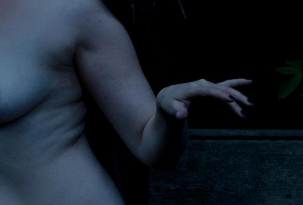 Photo: © Predrag Pajdić, 2011