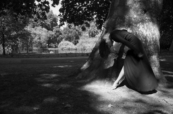 Foto: © Predrag Pajdić, 2011