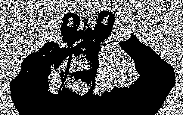 Foto in animacija: Vesna Bukovec (Povzeto po videu Dube Sambolec Shadowless B, 2000.)